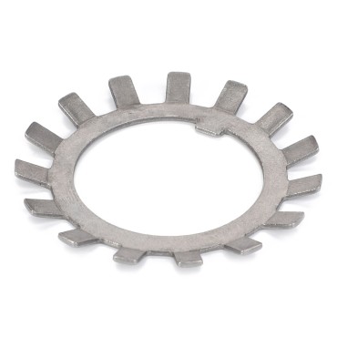 TOOTH WASHER