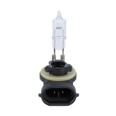 BULB 12V