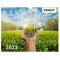 FENDT WANDKALENDER 2026