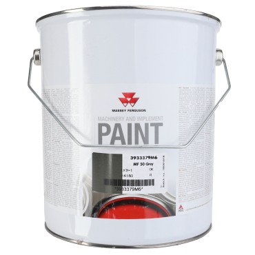 PEINTURE GRISE