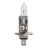 AMPOULE