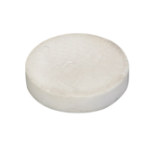 DIAPHRAGME REN.